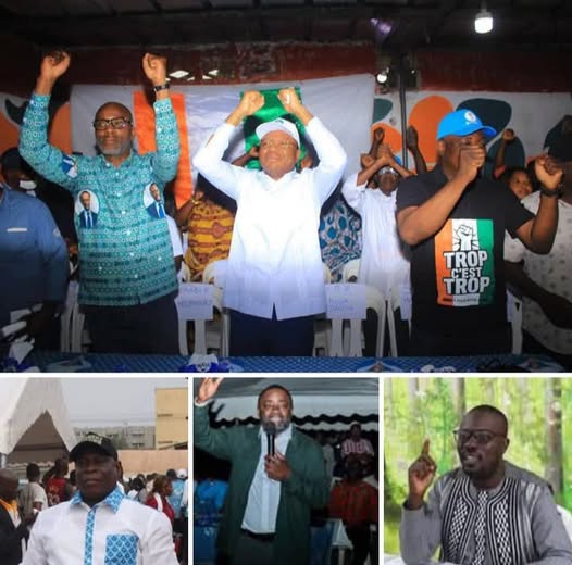 Tensions pré-mobilisation à Abidjan : plusieurs cadres du PPA-CI convoqués par la police