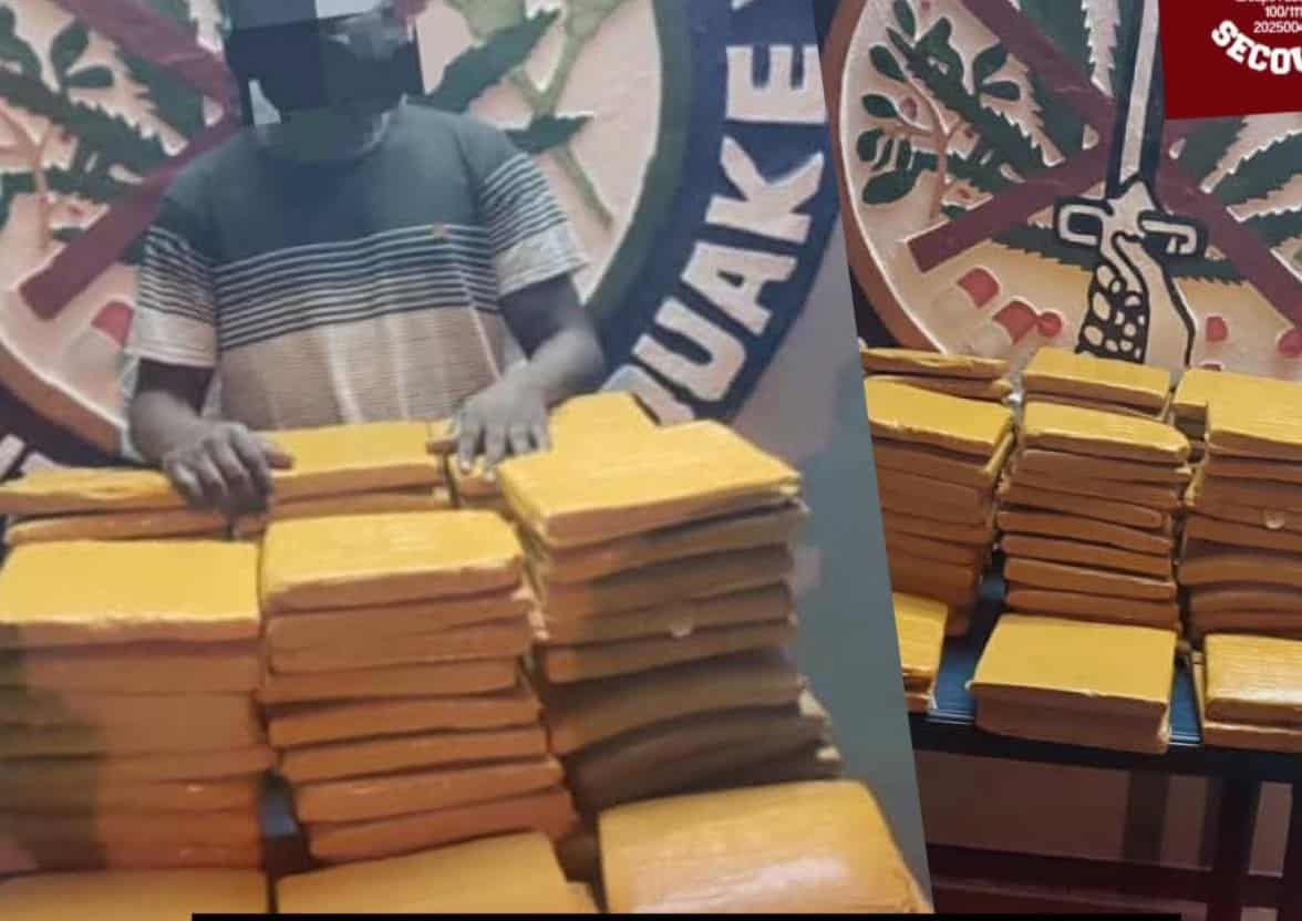 Côte d&rsquo;Ivoire: 66 blocs de cannabis confisqués à Bouaké, un trafiquant arrêté