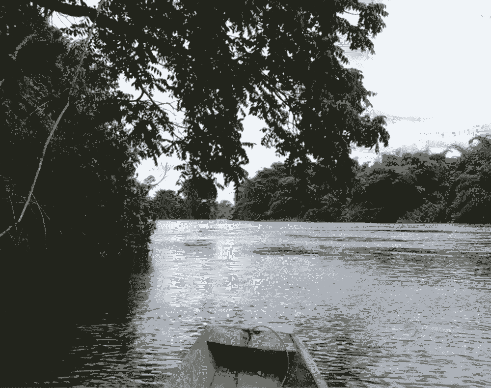 Côte d&rsquo;Ivoire: un hippopotame renverse une pirogue à Buyo, 11 vies manquent à l’appel