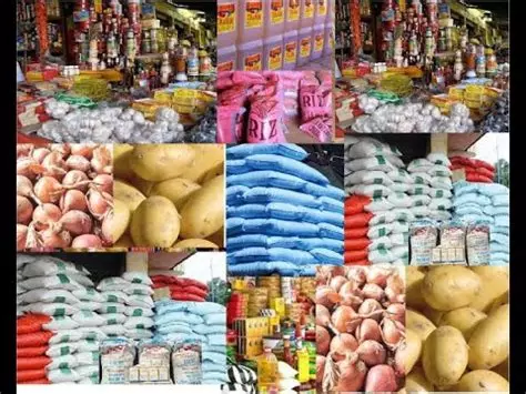 Pékin ouvre grand son marché : la Chine supprime les droits de douane pour 53 pays africains dès mai 2026